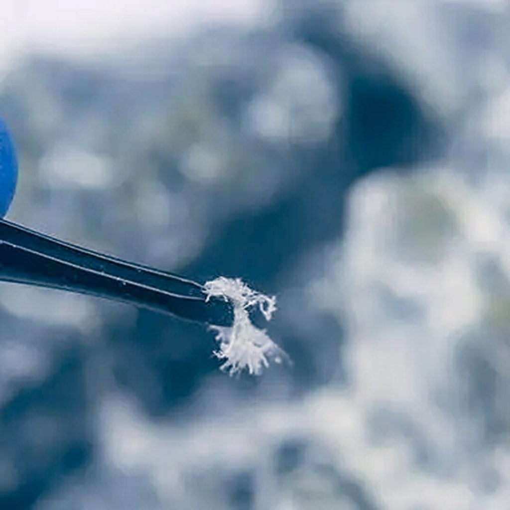 asbestos inside tweezer