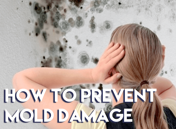 Staying Safe From Mold In Your Florida Home