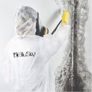BluSky staff member removing mold from wall