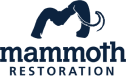 mammoth branding