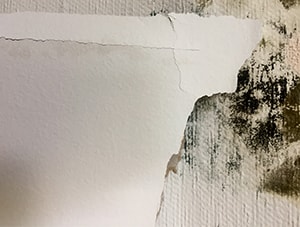 mold infestation inside of house