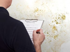 mold-inspection-checklist