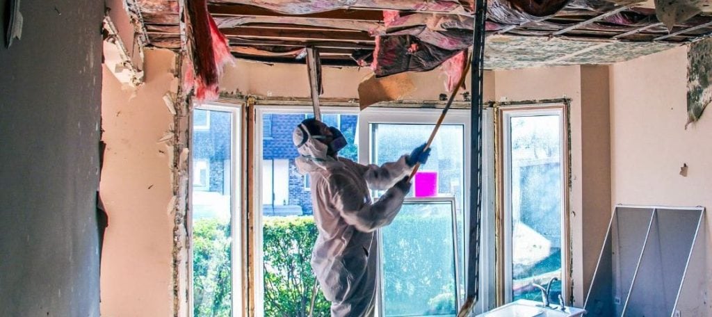 worker reviewing mold inside home