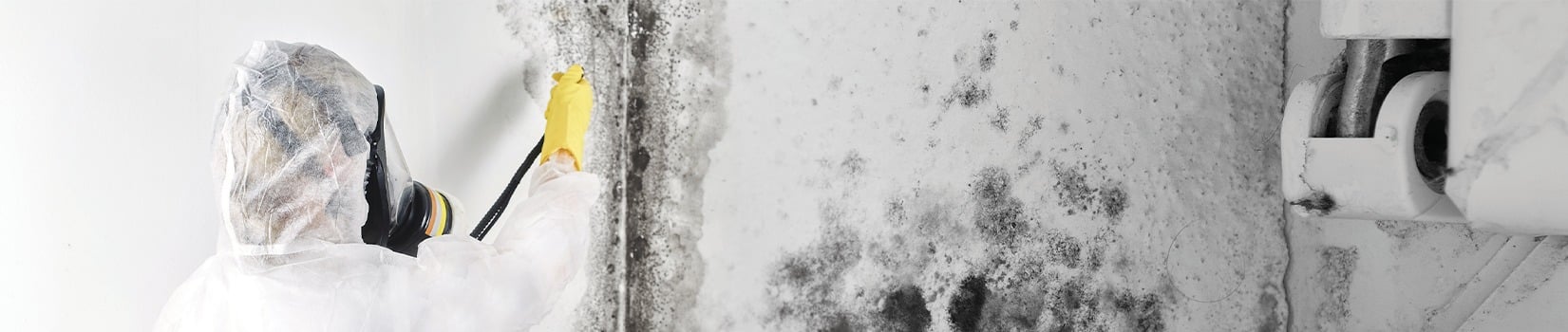 inner banner bg
